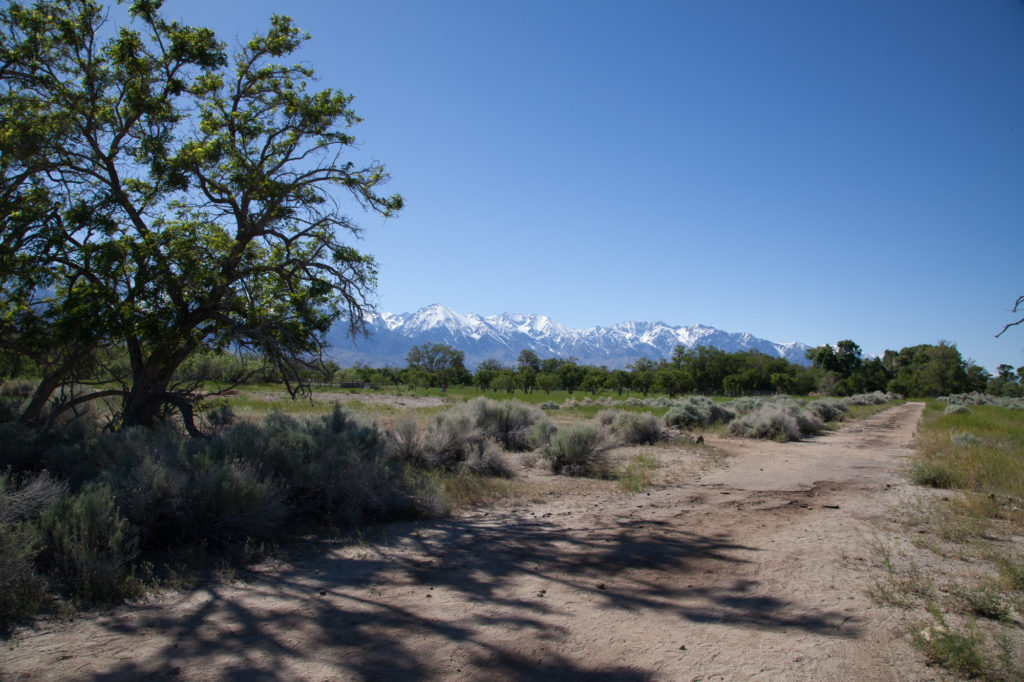 View of the Eastern Sierras from the Manzanar concentration camp. The buildings from the camp were relocated around Lone Pine and other nearby towns, but the roads of the camp exist for visitors to walk through. Photo by Joanne Kim