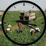 farm-OT.jpg