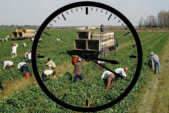 farm-OT.jpg