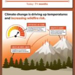 Wildfires Infographic