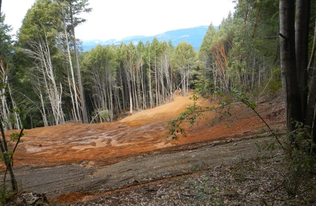 Clear-cut forest, prepared for a new grow site.