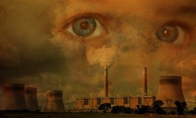 climate strike