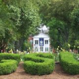 campus bigotry