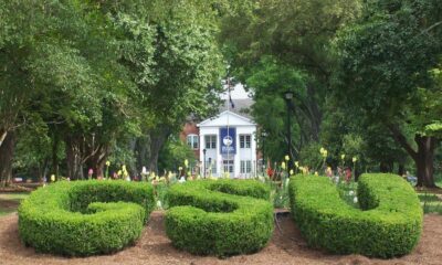 campus bigotry