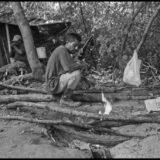 guest workers