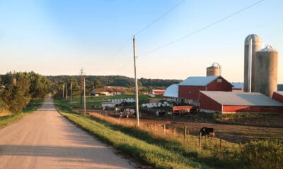 A 40+ acre dairy farm currently for sale south of Paoli, Wisconsin.