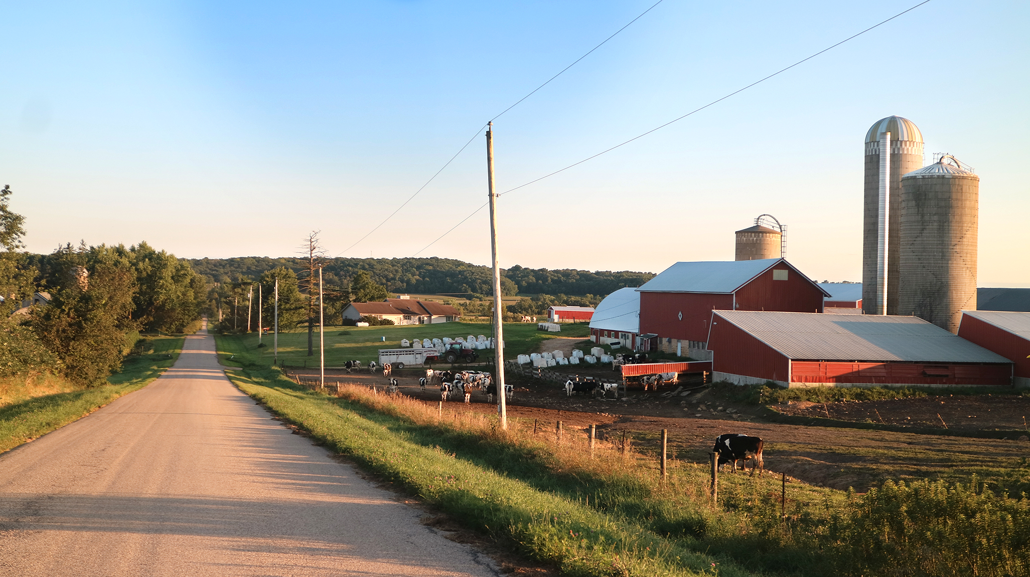 A 40+ acre dairy farm currently for sale south of Paoli, Wisconsin.