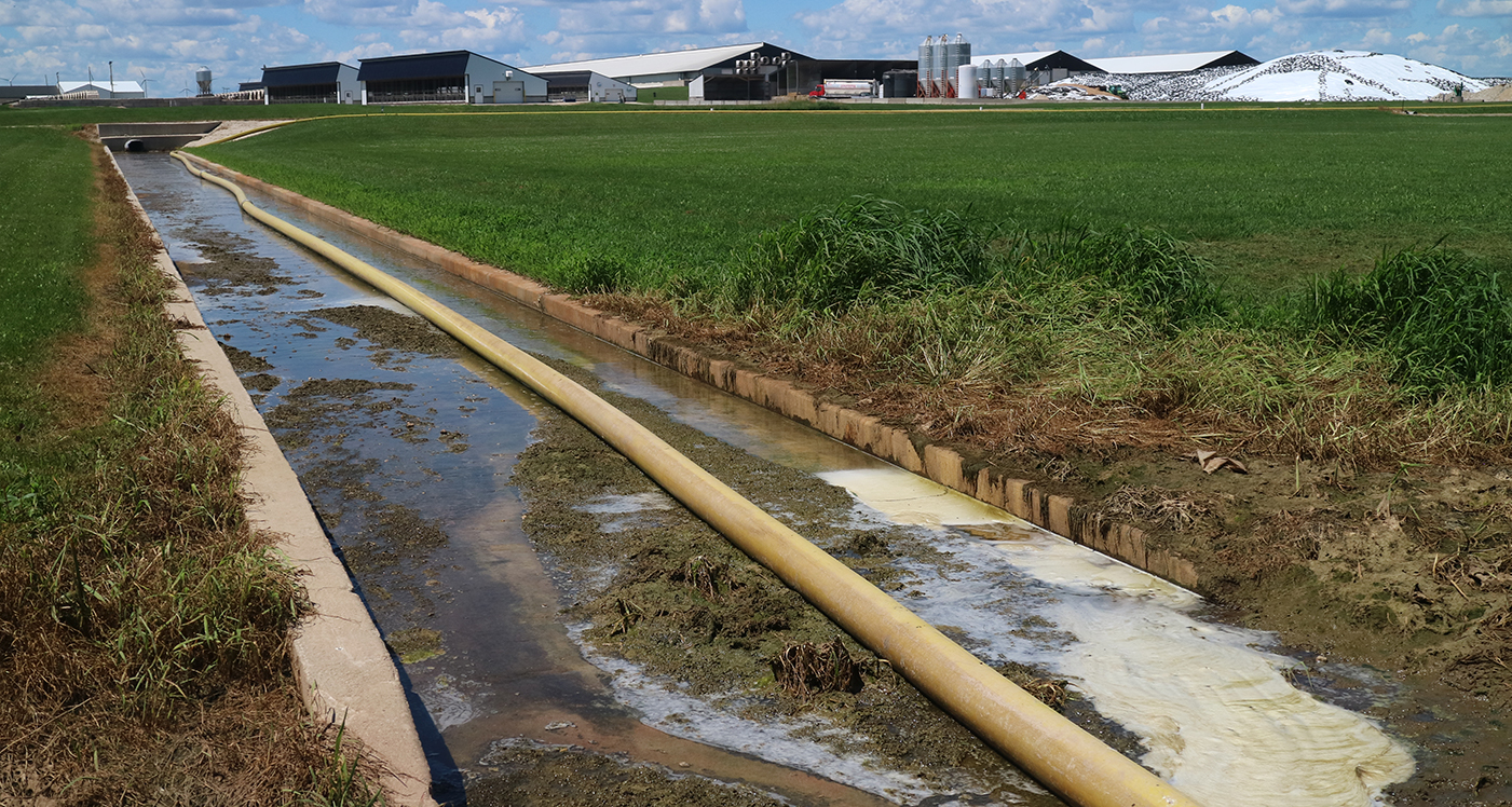 WI-runoff Sewage runoff from the production center of a CAFO in Casco, Wisconsin